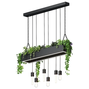 Изображение ПЛАНТ №6